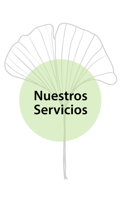 Nuestros servicios